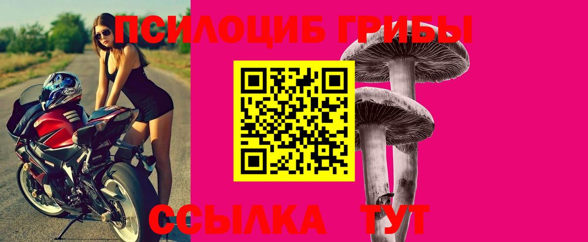 Псилоцибиновые грибы ЛСД  Псилоцибиновые грибы мицелий  где можно купить   Вход с VPN  Гатчина 